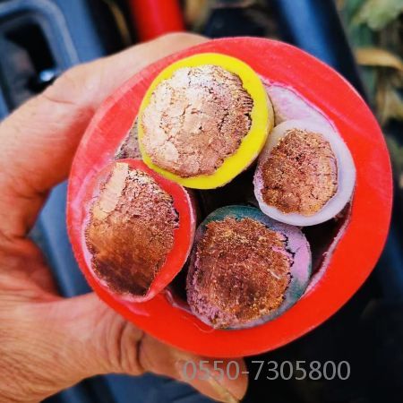 尊龙人生就是博·Z6「中国区」首页官网