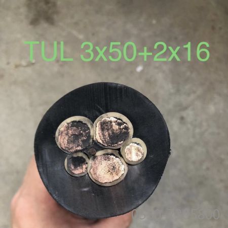 尊龙人生就是博·Z6「中国区」首页官网