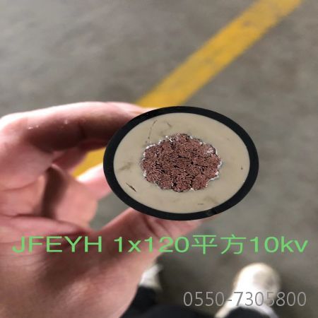 尊龙人生就是博·Z6「中国区」首页官网