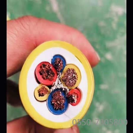 尊龙人生就是博·Z6「中国区」首页官网