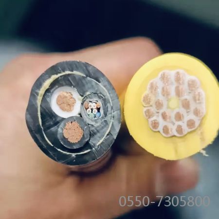 尊龙人生就是博·Z6「中国区」首页官网