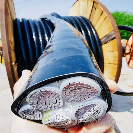 尊龙人生就是博·Z6「中国区」首页官网