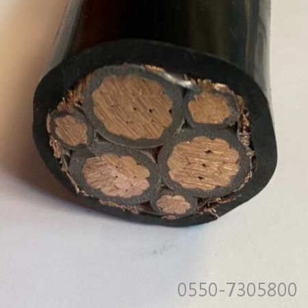 尊龙人生就是博·Z6「中国区」首页官网