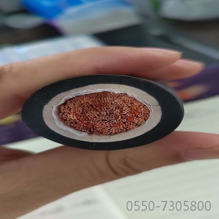 尊龙人生就是博·Z6「中国区」首页官网