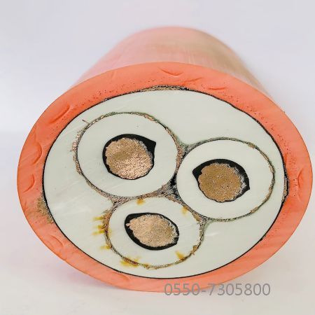 尊龙人生就是博·Z6「中国区」首页官网