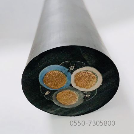 尊龙人生就是博·Z6「中国区」首页官网