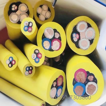 尊龙人生就是博·Z6「中国区」首页官网