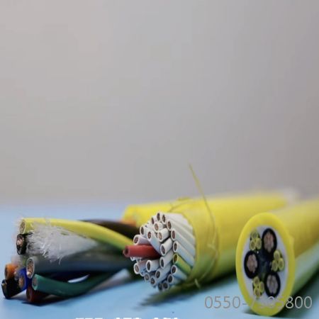 尊龙人生就是博·Z6「中国区」首页官网