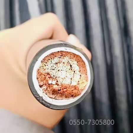 尊龙人生就是博·Z6「中国区」首页官网