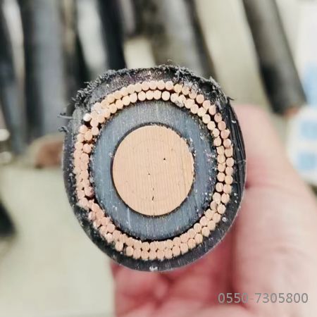 尊龙人生就是博·Z6「中国区」首页官网