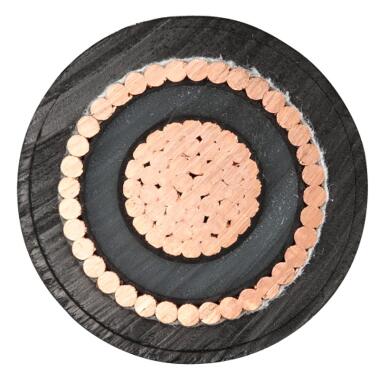 尊龙人生就是博·Z6「中国区」首页官网