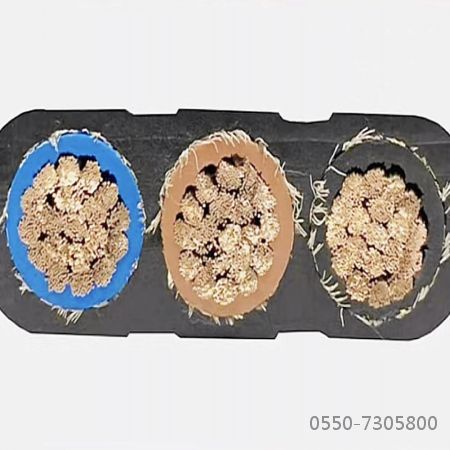 尊龙人生就是博·Z6「中国区」首页官网