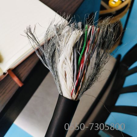 �����������ǲ���Z6���й�������ҳ����