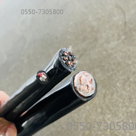 尊龙人生就是博·Z6「中国区」首页官网