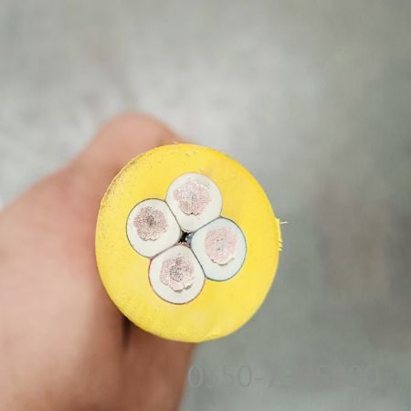 �����������ǲ���Z6���й�������ҳ����