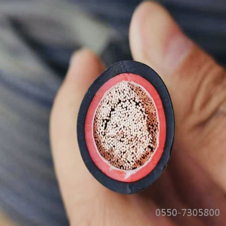 �����������ǲ���Z6���й�������ҳ����