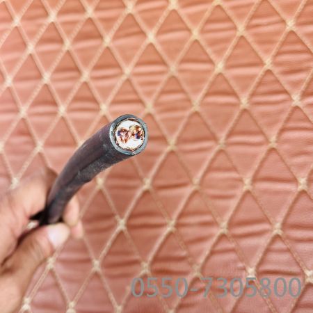 尊龙人生就是博·Z6「中国区」首页官网