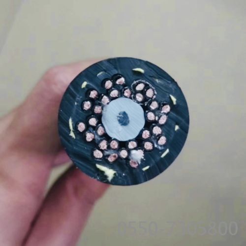 尊龙人生就是博·Z6「中国区」首页官网