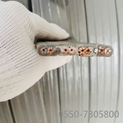 尊龙人生就是博·Z6「中国区」首页官网