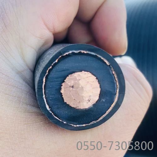 尊龙人生就是博·Z6「中国区」首页官网