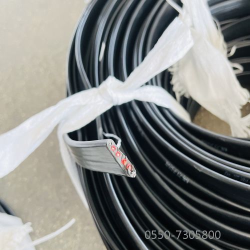 �����������ǲ���Z6���й�������ҳ����