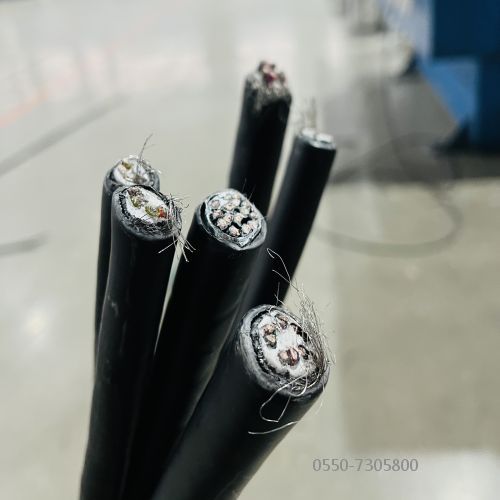 尊龙人生就是博·Z6「中国区」首页官网