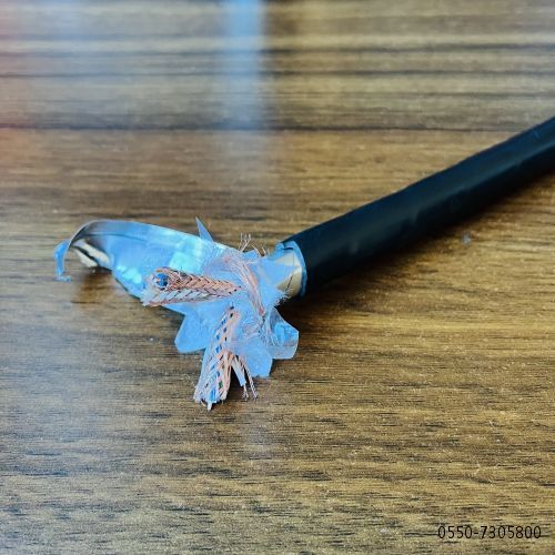 �����������ǲ���Z6���й�������ҳ����