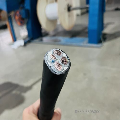 尊龙人生就是博·Z6「中国区」首页官网