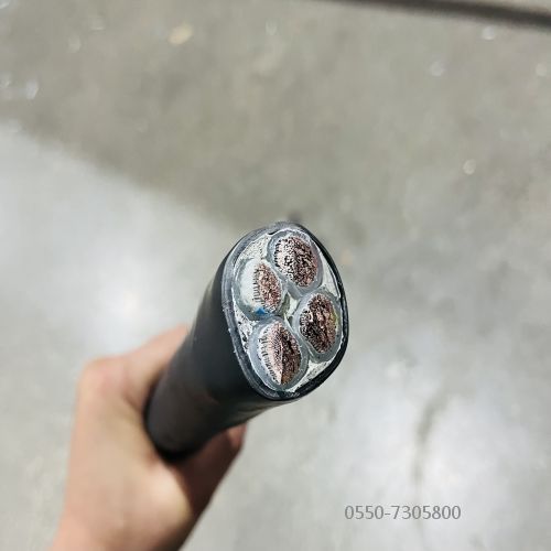 �����������ǲ���Z6���й�������ҳ����