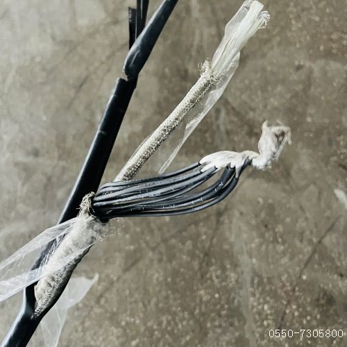 尊龙人生就是博·Z6「中国区」首页官网