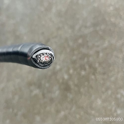 尊龙人生就是博·Z6「中国区」首页官网