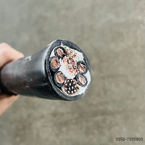 �����������ǲ���Z6���й�������ҳ����