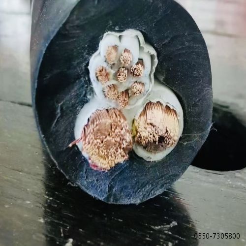 尊龙人生就是博·Z6「中国区」首页官网