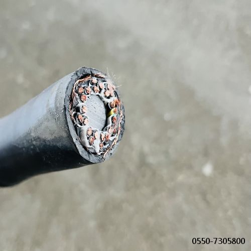 尊龙人生就是博·Z6「中国区」首页官网