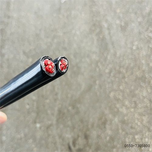 尊龙人生就是博·Z6「中国区」首页官网