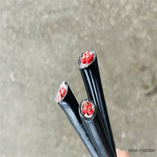 尊龙人生就是博·Z6「中国区」首页官网