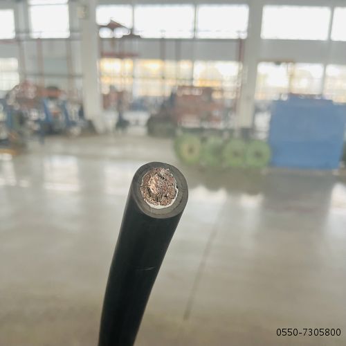 尊龙人生就是博·Z6「中国区」首页官网