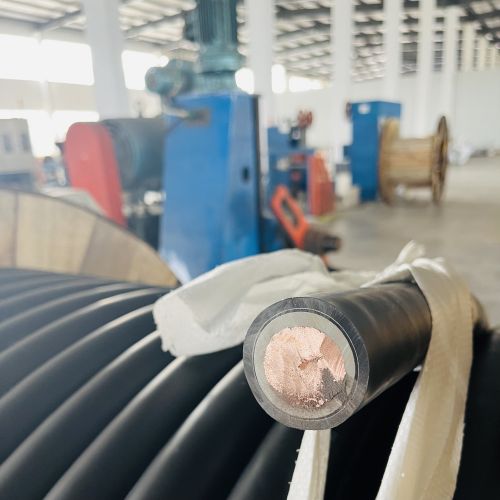 尊龙人生就是博·Z6「中国区」首页官网