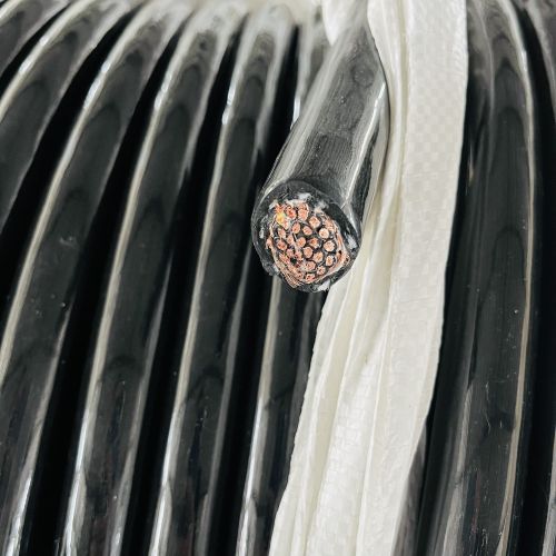 尊龙人生就是博·Z6「中国区」首页官网