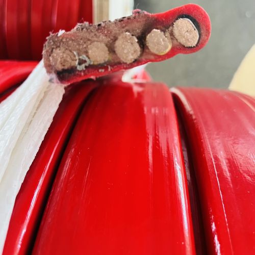 尊龙人生就是博·Z6「中国区」首页官网