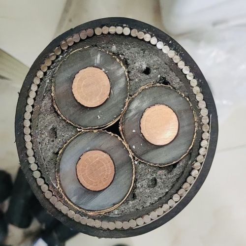 尊龙人生就是博·Z6「中国区」首页官网