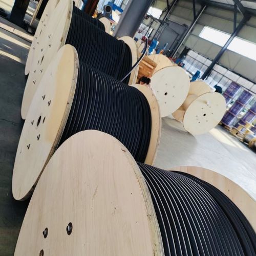 尊龙人生就是博·Z6「中国区」首页官网