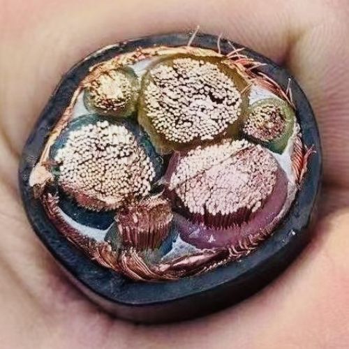 尊龙人生就是博·Z6「中国区」首页官网