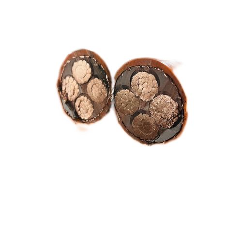 尊龙人生就是博·Z6「中国区」首页官网