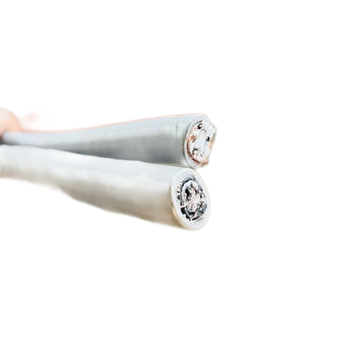 尊龙人生就是博·Z6「中国区」首页官网