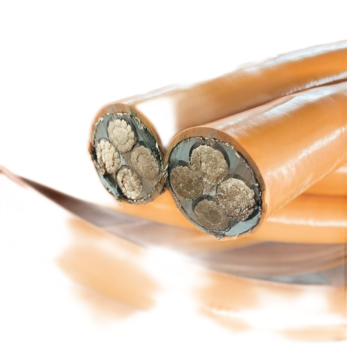 尊龙人生就是博·Z6「中国区」首页官网