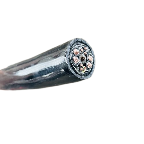 尊龙人生就是博·Z6「中国区」首页官网