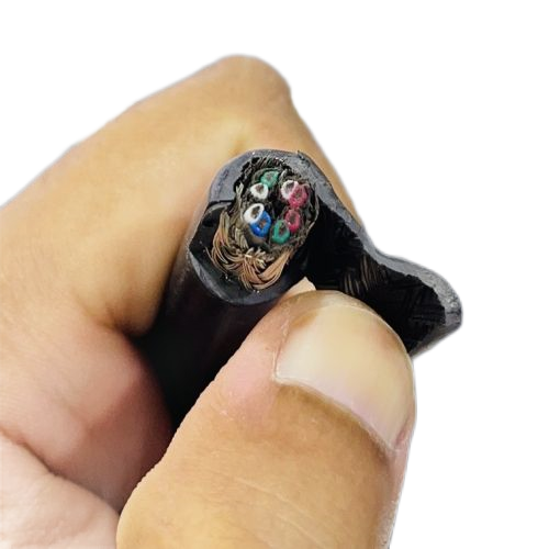 尊龙人生就是博·Z6「中国区」首页官网