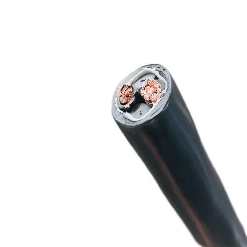 尊龙人生就是博·Z6「中国区」首页官网