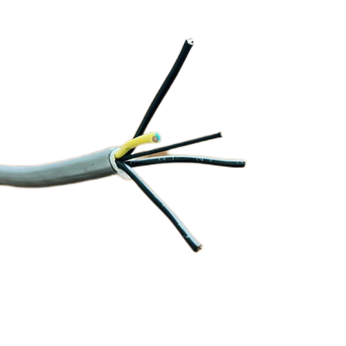 尊龙人生就是博·Z6「中国区」首页官网